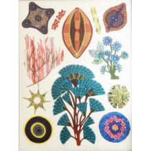 Fabric collage based on botanical drawings of algae.  Original size 18" x 24"