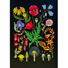 Fabric collage based on botanical drawings of wildfloweers. Size 20" x 28"