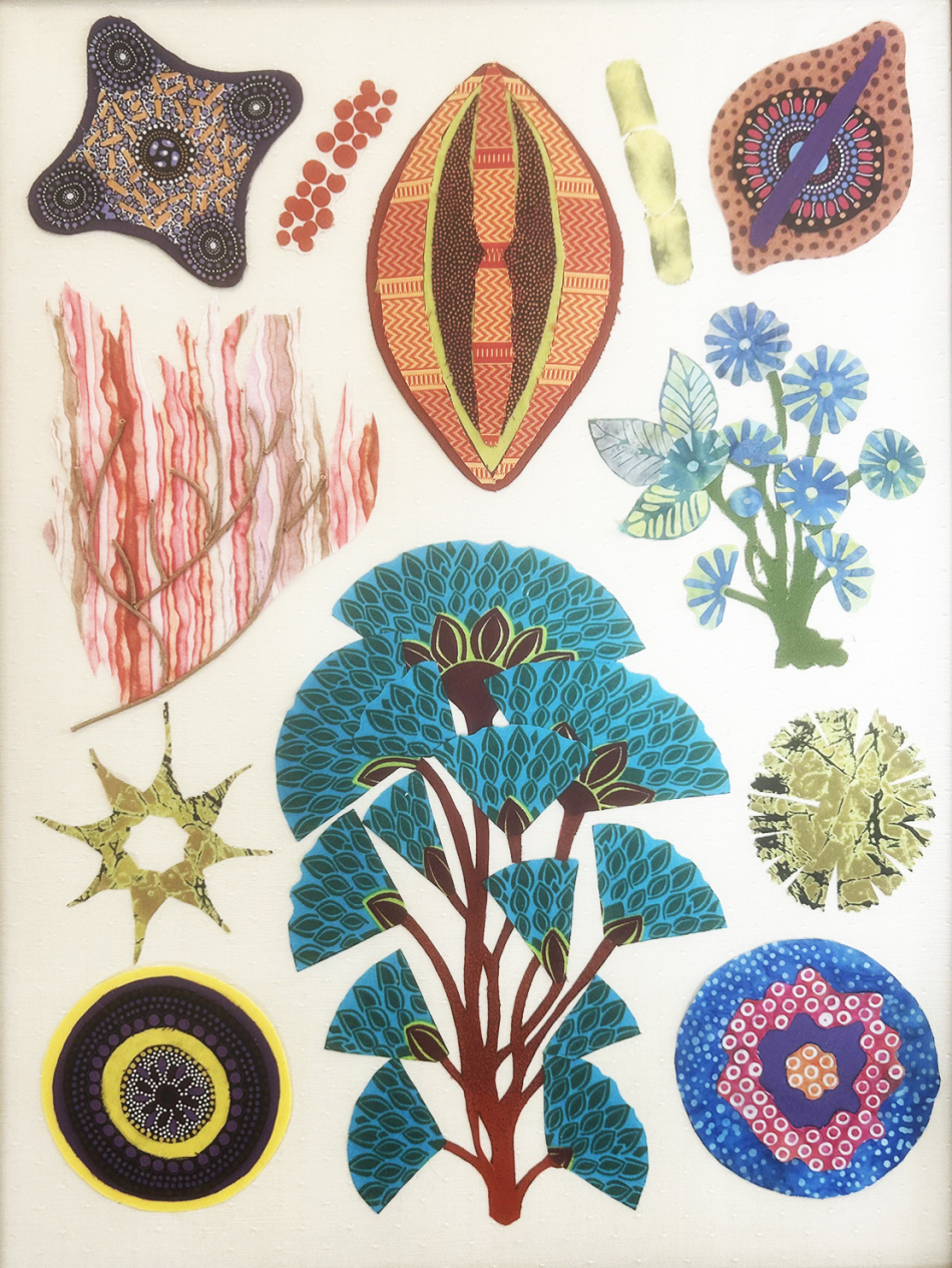 botanical_-_algae.jpg