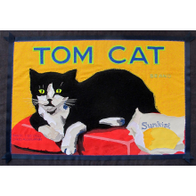 tom_cat.jpg